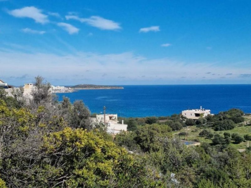 Ammoudara bei Agios Nikolaos MIT VIDEO: Kreta, Ammoudara bei Agios Nikolaos : Baugrund mit Meerblick in Stadt- und Strandnähe zu verkaufen Grundstück